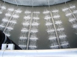 Reinigung von häuslichem und kommunalen Abwasser